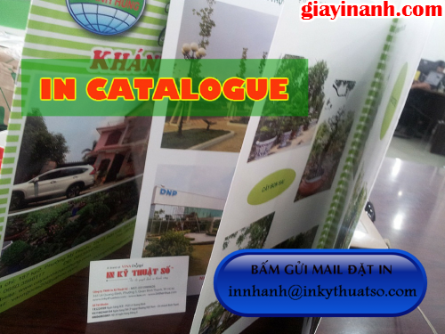 In catalogue giá rẻ Bình Thạnh tại Công ty TNHH In Kỹ Thuật Số - Digital Printing